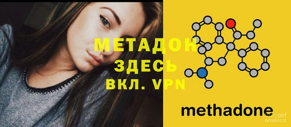 шишки Рославль
