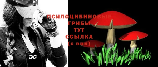 гашик Абинск