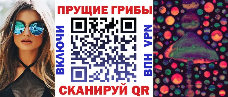 Псилоцибиновые грибы GOLDEN TEACHER  Каменка 