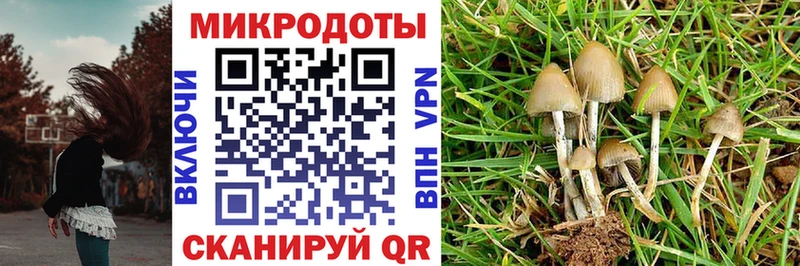 Псилоцибиновые грибы MAGIC MUSHROOMS Каменка